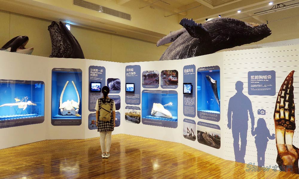 海洋主題展-台北-鯨驗值:鯨骨解密特展