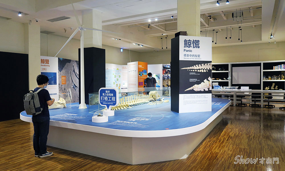 鯨驗值:鯨骨解密特展-台北-海洋主題展