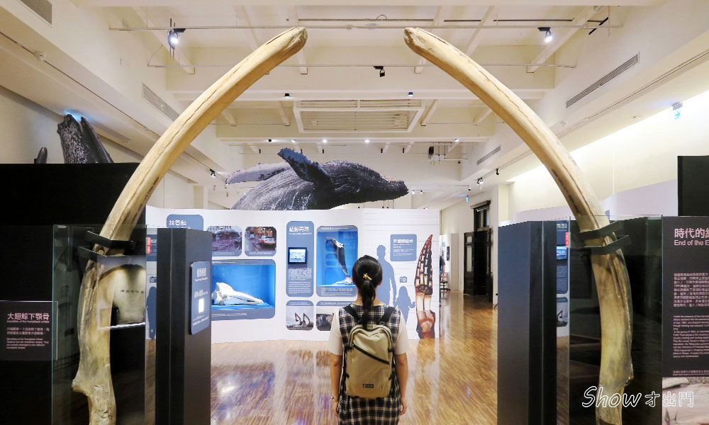 鯨驗值:鯨骨解密特展-台北-海洋主題展