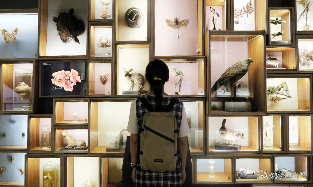 自然主題展-發現台灣-重訪台灣博物學與博物學家的年代