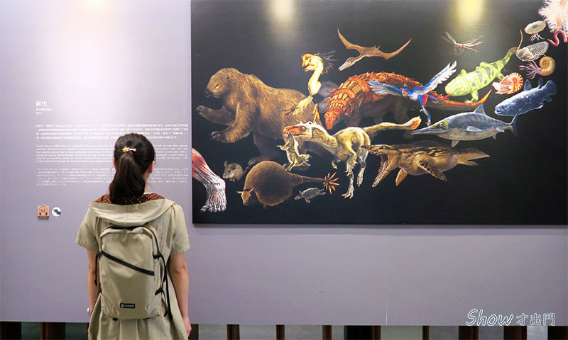 台灣博物館-主題展覽-恐龍主題展-古生物館