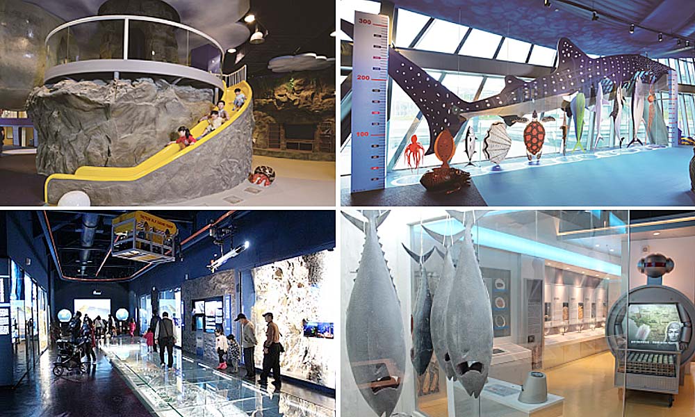 台北博物館-海洋科技博物館