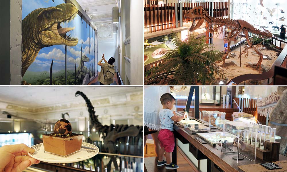 台北博物館-恐龍博物館