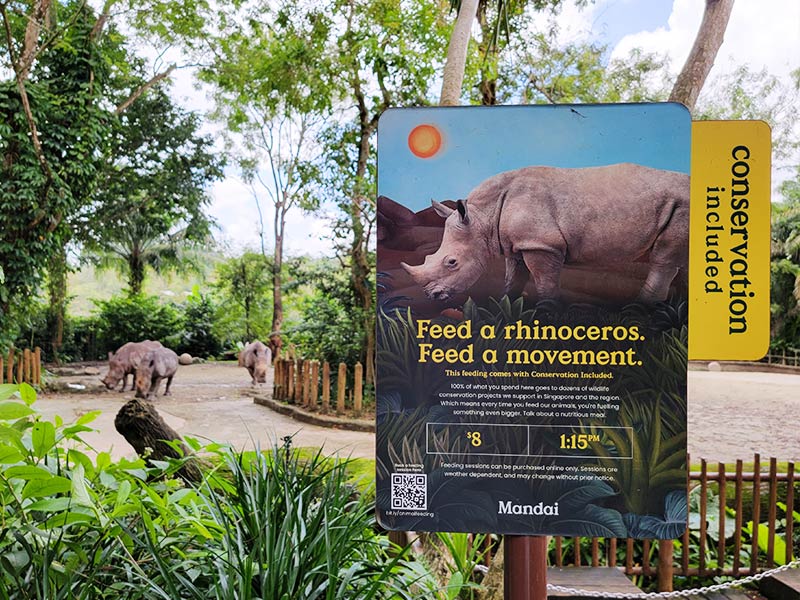 新加坡動物園-餵食