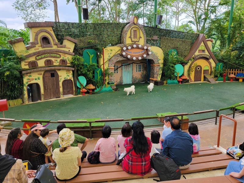新加坡動物園-表演活動
